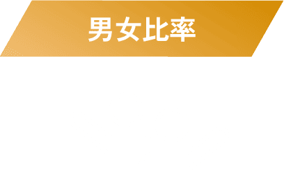 男女比率